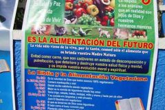 Huancayo0082013