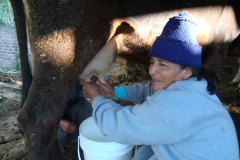 Huancayo0482013