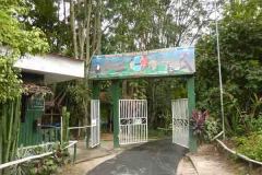 entrada-de-Quistococha